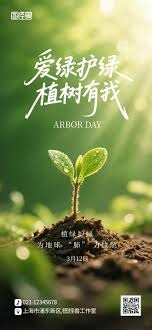 上半区的微